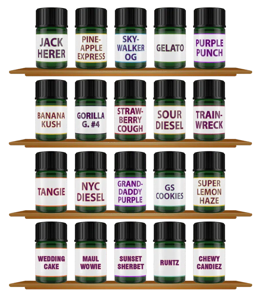 Shop Sample Packs